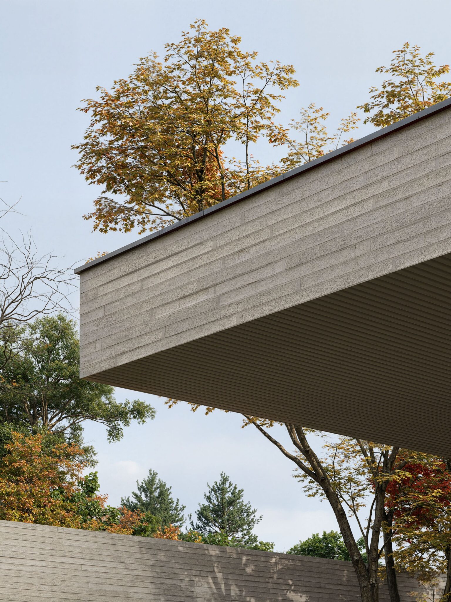 Patio Shell SHELL: Patio House Project. Private Residence by Bezmirno